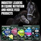 SPILLERS Senior Super-Mash Horse Feed 20kg Soaked Vet Digestible Fibre view 9