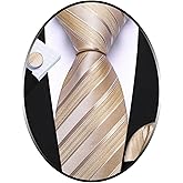 Barry.Wang Tie Sets for Men Silk Stripe Necktie Woven Checkered Handkerchief Cufflinks Formal Business Wedding
