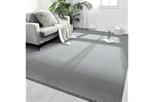 FlyDOIT Area Rugs for Bedroom Living Room, 4x6 Grey Super Soft Comfy Thickened Memory-Foam Indoor Carpets, Modern Aesthetic Minimalist Carpet for Boys Girls Adults Apartment Nursery Home Décor