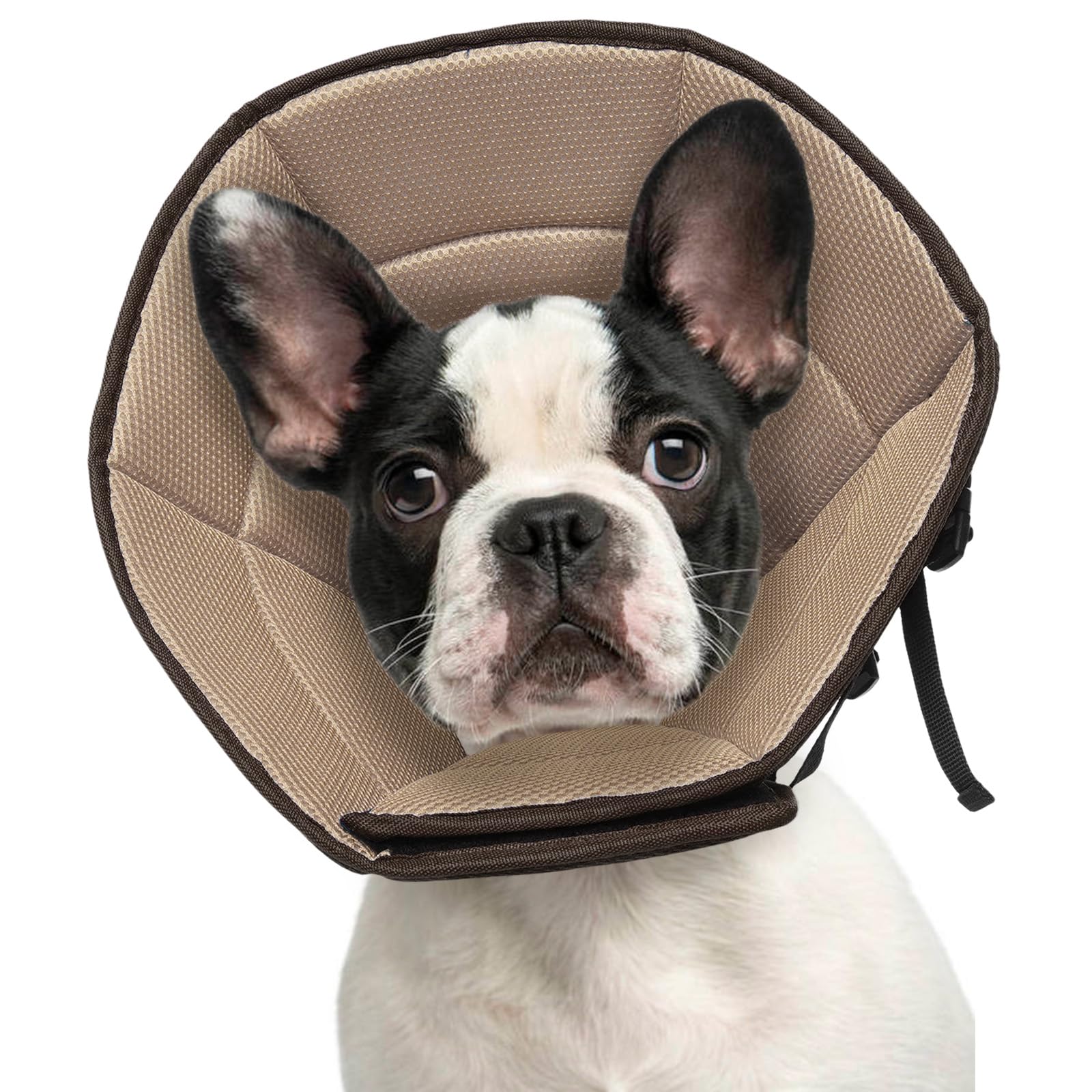Photo 1 of LETSQK Dog Cone Collar M, Soft Cones for Large Medium Small Dogs,Adjustable Dog Cone Alternative to Stop Licking, Comfy Elizabethan Collar for After Surgery Wound Healing & Hot Spots Brown