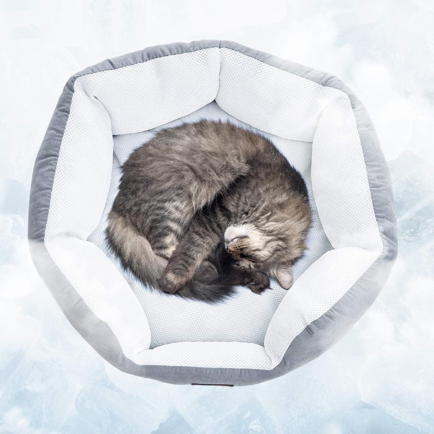 EXQ Home Cat Bed, Cooling Pet Bed for Cats or Small Dogs, Round 20 Inch Cat Beds for Indoor Cat, Breathable Cat Beds for Summer, Soft Grey Cushion Kitten Bed with Slip-Resistant Bottom : Pet Supplies