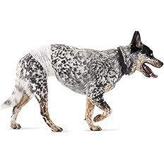 Amazon Basics Male Dog Wrap, Disposable Diapers