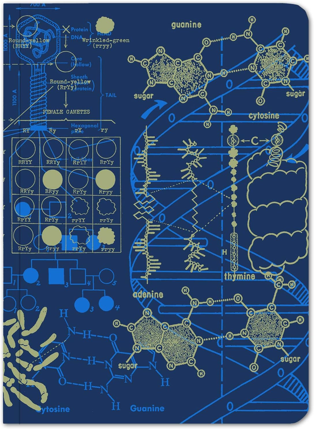 Cognitive Surplus Cellular Biology Softcover Notebook. (Dot Grid, 100% Recycled)