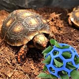 vomvomp Tortoise Treat Ball Feeder 5.5in Foraging Toy Gift Turtle view 3