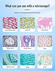 Binocular Compound Microscope 40X-2000X, Research