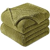 Exclusivo Mezcla Queen Size Blanket for Bed, Super Soft Velvet Plush Fleece Blankets, Fuzzy Cozy and Warm for Winter, 90x90 Inches, Olive Green