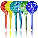Plant Watering Globes Set of 6 – Large Glass