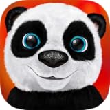 Teddy the Panda