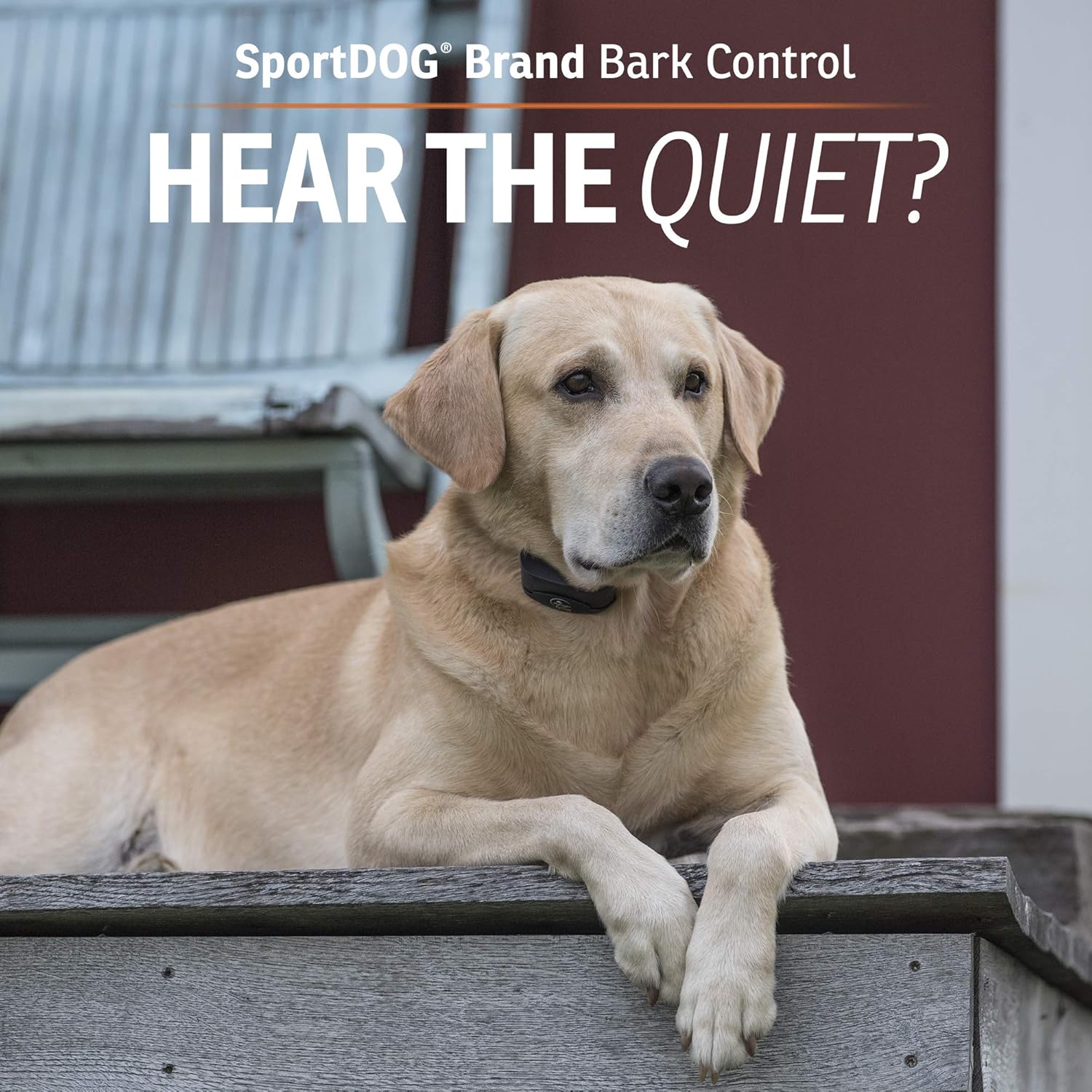 SportDOG Brand NoBark 10 Collar - Rechargeable, Programmable Bark Collar - Waterproof & Submersible, Black : Pet Supplies
