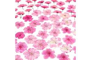 AHTONG 48 Pcs Mix Cherry Blossom Natural Dried Pressed Flowers for Cake Decorating, Real Dry Flower for Resin Jewelry Making, DIY Art Crafts - Pink Sakura…