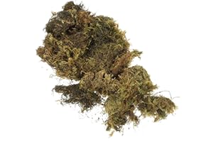 HANABASS 100g Bag of Natural Green Preserved Moss for DIY Moss Decor for Crafting and Potted Plant Landscape