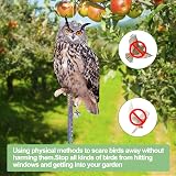 Lifreer Fake Owl Decoy 5Pcs Reflective Bird Deterrent Outdoor Hanging Device view 6