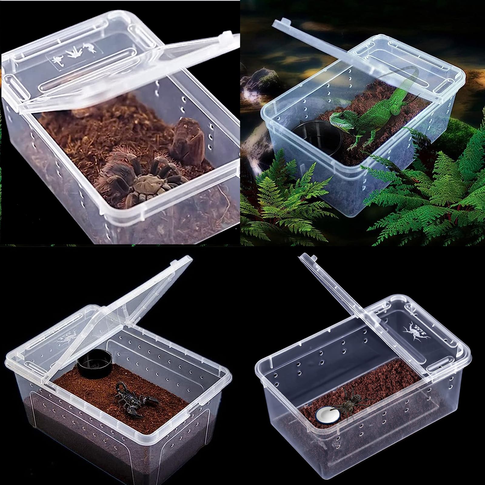 Mua Critter Keeper Ant Farm Cane Toad Trap Little Live Pets Bug Catcher ...