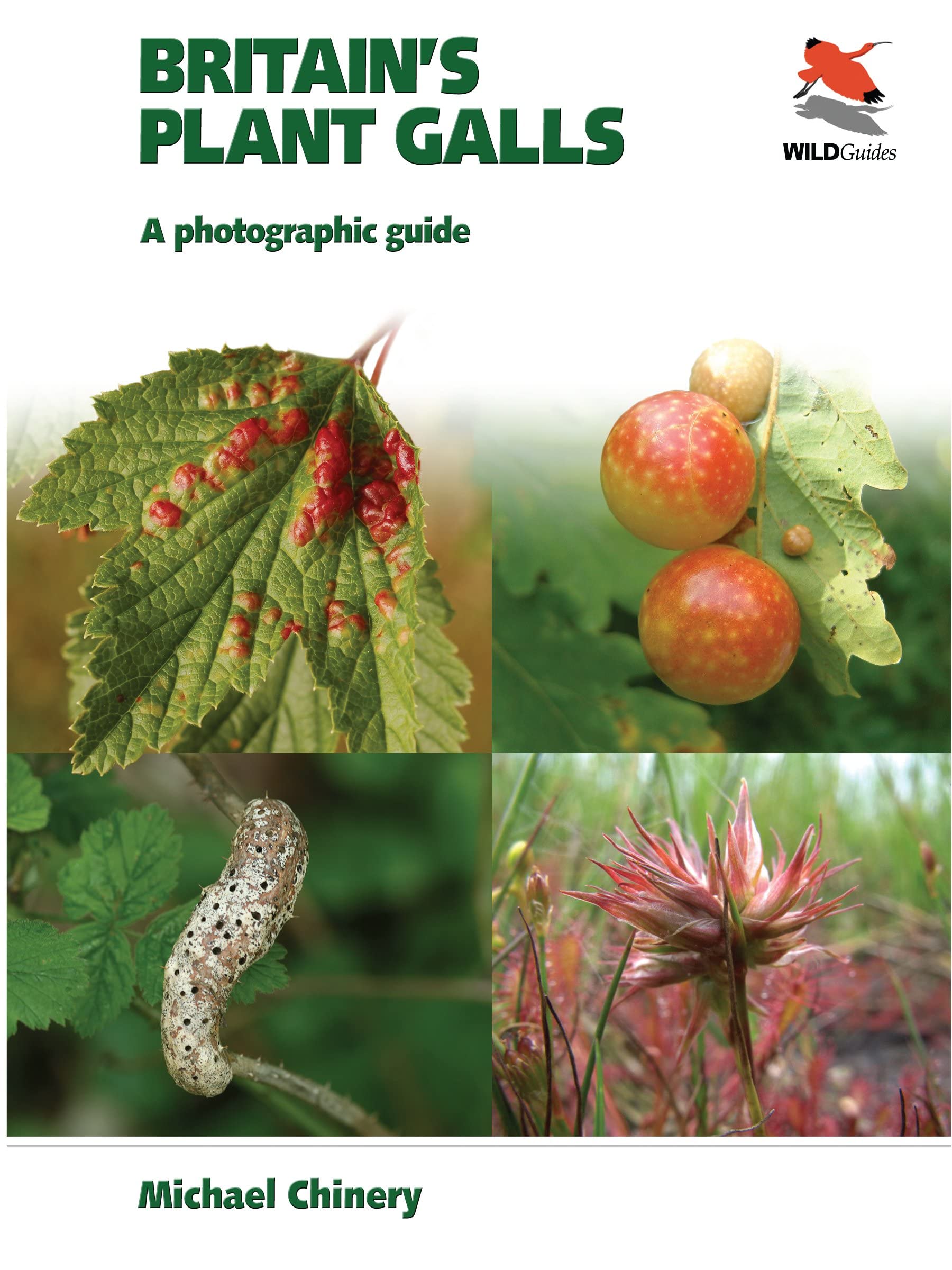 Britain`s Plant Galls – A Photographic Guide (Wildguides of Britain & Europe, 12)