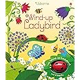 Wind-Up Ladybird (Wind-up Books)