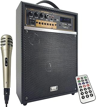 EMB Pro Mini Guitar Amplifier