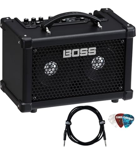 Amazon.com: Roland Micro Cube Bass RX Battery-Powered Bass Combo