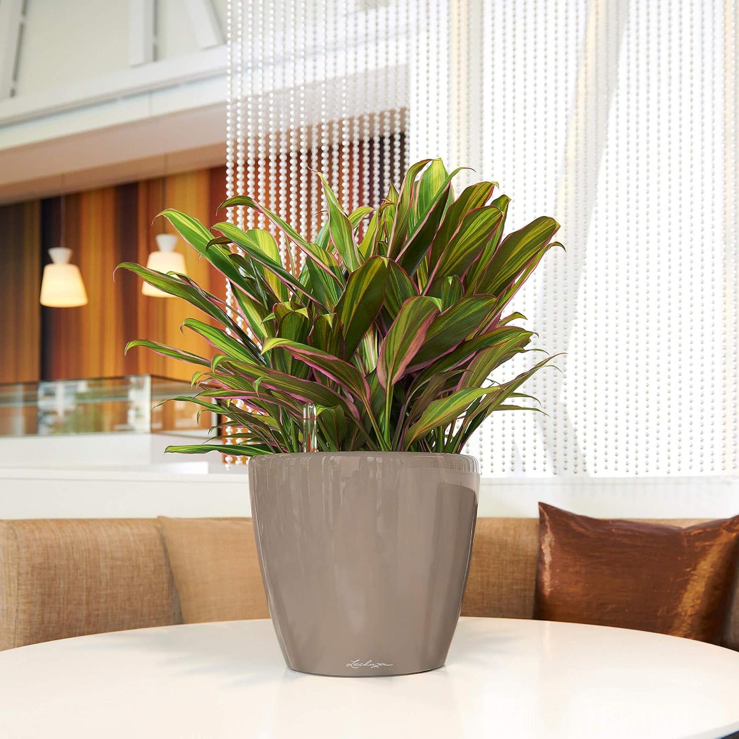 Lechuza Self Watering Plant Pot CLASSICO 28 LS Garden Flower Indoor and Outdoor Small Plastic Planter with Drainage Hole D28 H26 cm Charcoal Metallic - Image 5
