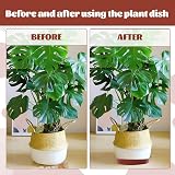 Nuqin Plant Pot Saucers 12 Pack 3 Sizes Waterproof Thickened Plastic view 5