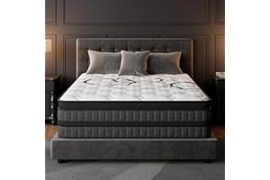 PUBPLON Queen Mattress 12 Inch Hybrid Mattresses Euro Top Medium Firm for Back & Lumbar Support, 365 Night Trial, Individual Pocket Spring Bed for Motion Isolation & Pressure Relief (12 Inch, Queen)