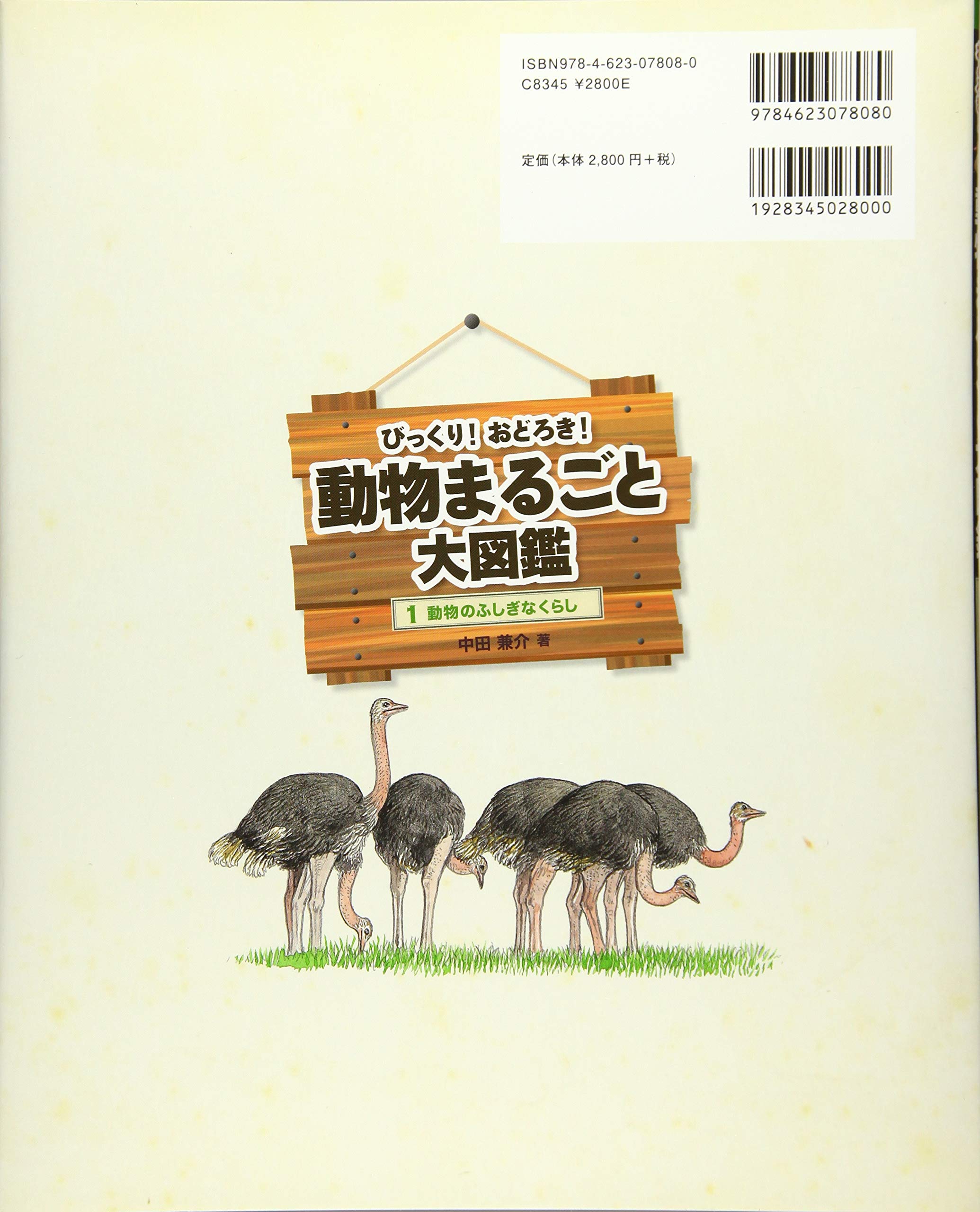 動物のふしぎなくらし びっくり おどろき 動物まるごと大図鑑 中田兼介 本 通販 Amazon
