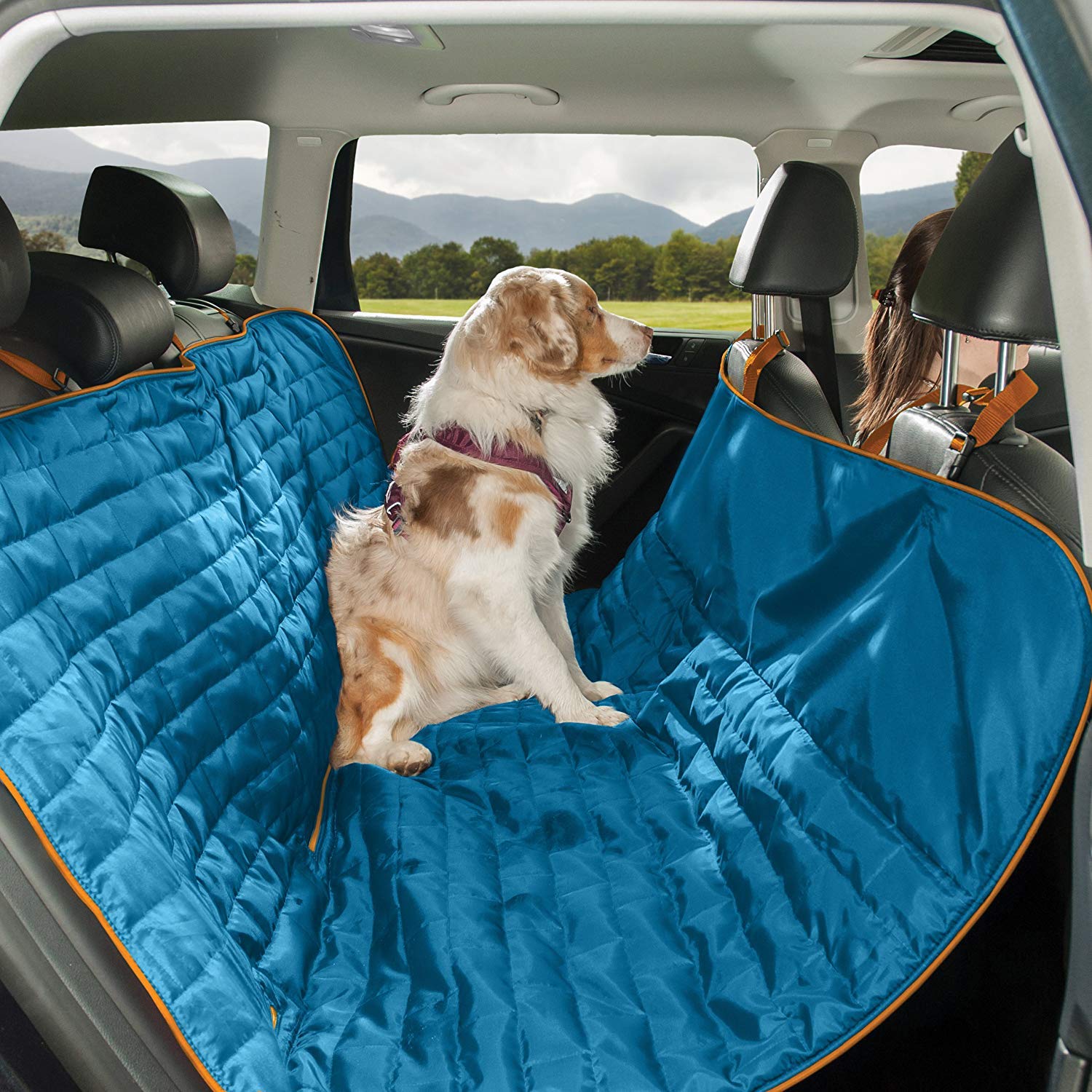 Kurgo Loft Hammock, Dog Car Seat Protector, Water- and Stain-Resistant, Secure Fit, Reversible, Blue/Orange