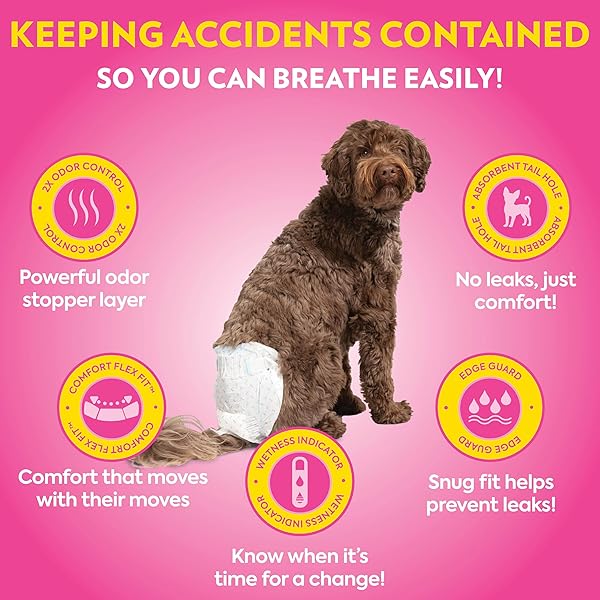 OUT! PETCARE DISPOSABLE DOG DIAPERS FOR FEMALE DOGS, DOG HEAT DIAPERS, FEMALE DOG PERIOD PADS, FEMALE DOGGY DIAPER FOR PEEING, PET DIAPERS FOR SMALL PETS,13”-18” WAIST, XS/SMALL, 16 COUNT
