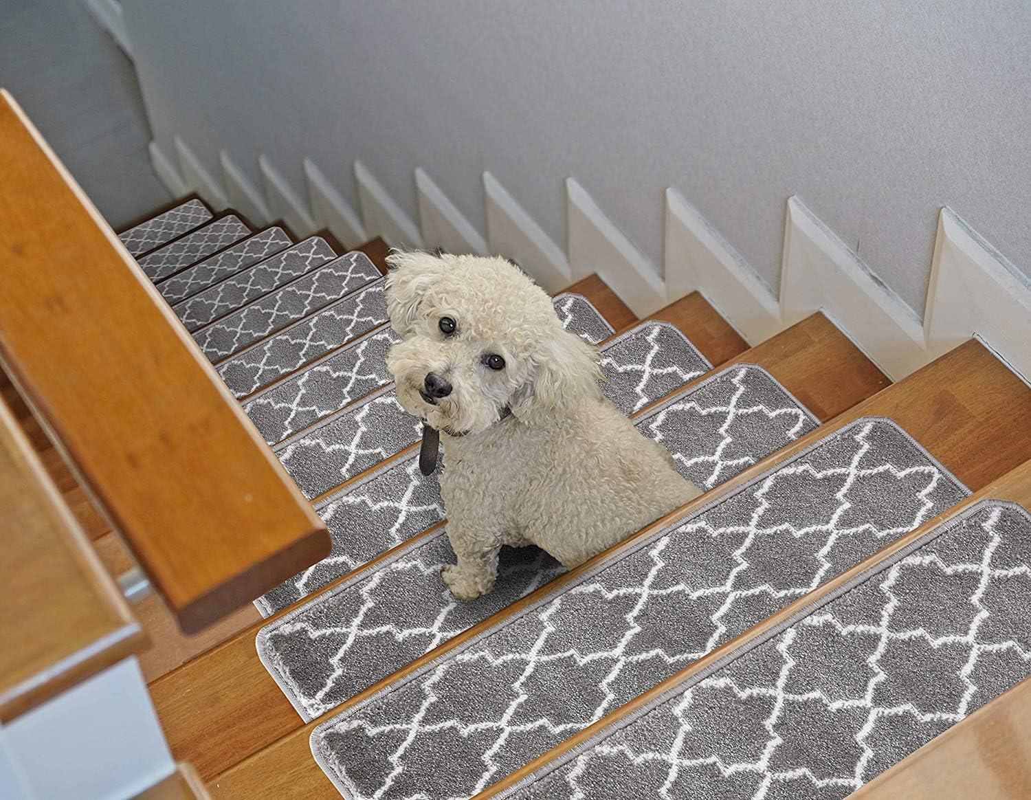 Best stair carpet runners modern