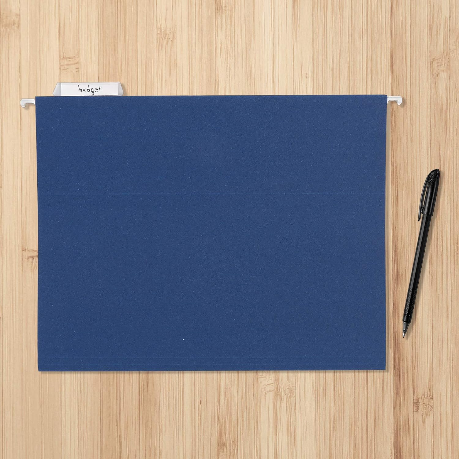 Basics Hanging Folders, Letter Size, Jewel-Tone Colors (Assorted), 25-Pack : Office Products
