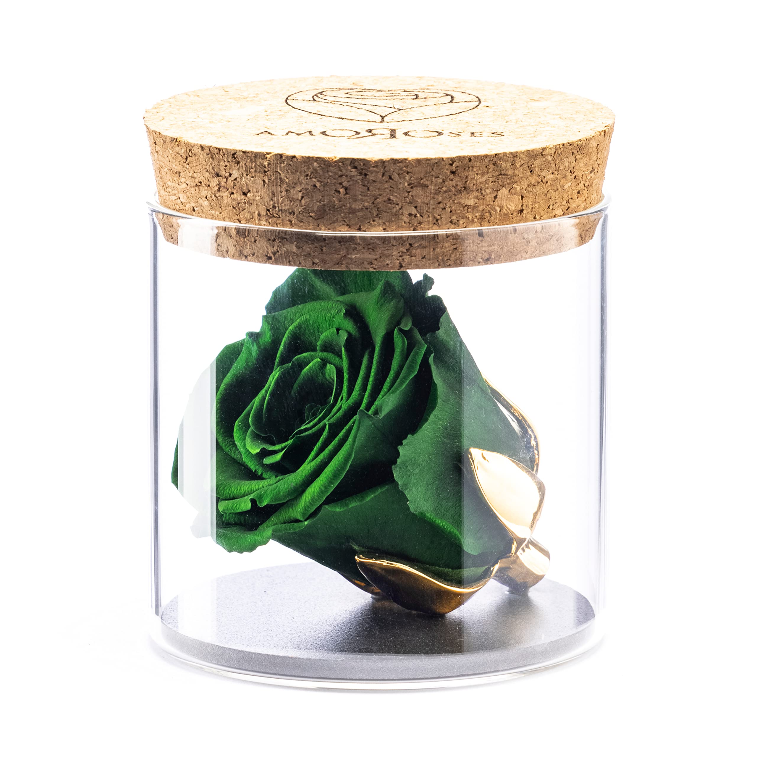 Amoroses Bijou - Eternal Stabilised Rose with 24K Gold Plated Calyx in Glass Jar | Gift Idea (Forest Green Rose)