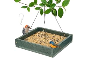 Kingsyard Platform Mealworm Bird Feeder for Outside, Recycled Plastic Hanging Tray Bird Feeders with Large Capacity 3.5 lbs, Premium Quality & Durable, Great for Attracting Wild Birds, Green
