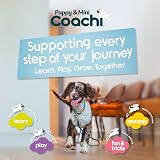 Coachi Whizzclick 2-in-1 Clicker and Whistle for Dogs Recall Training view 6