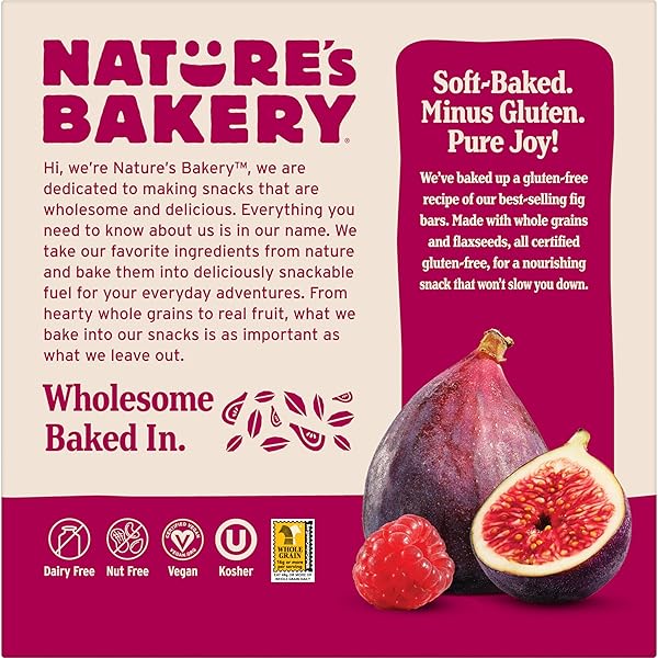 NATURE’S BAKERY GLUTEN FREE FIG BARS, RASPBERRY, REAL FRUIT, VEGAN, NON-GMO, SNACK BAR, 1 BOX WITH 6 TWIN PACKS (6 TWIN PACKS)
