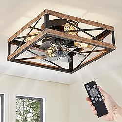 LEDIARY Caged Low Profile Ceiling Fans with Lights