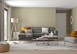 Dulux Walls & Ceilings Silk Emulsion Paint Overtly Olive 2.5 Litres view 6