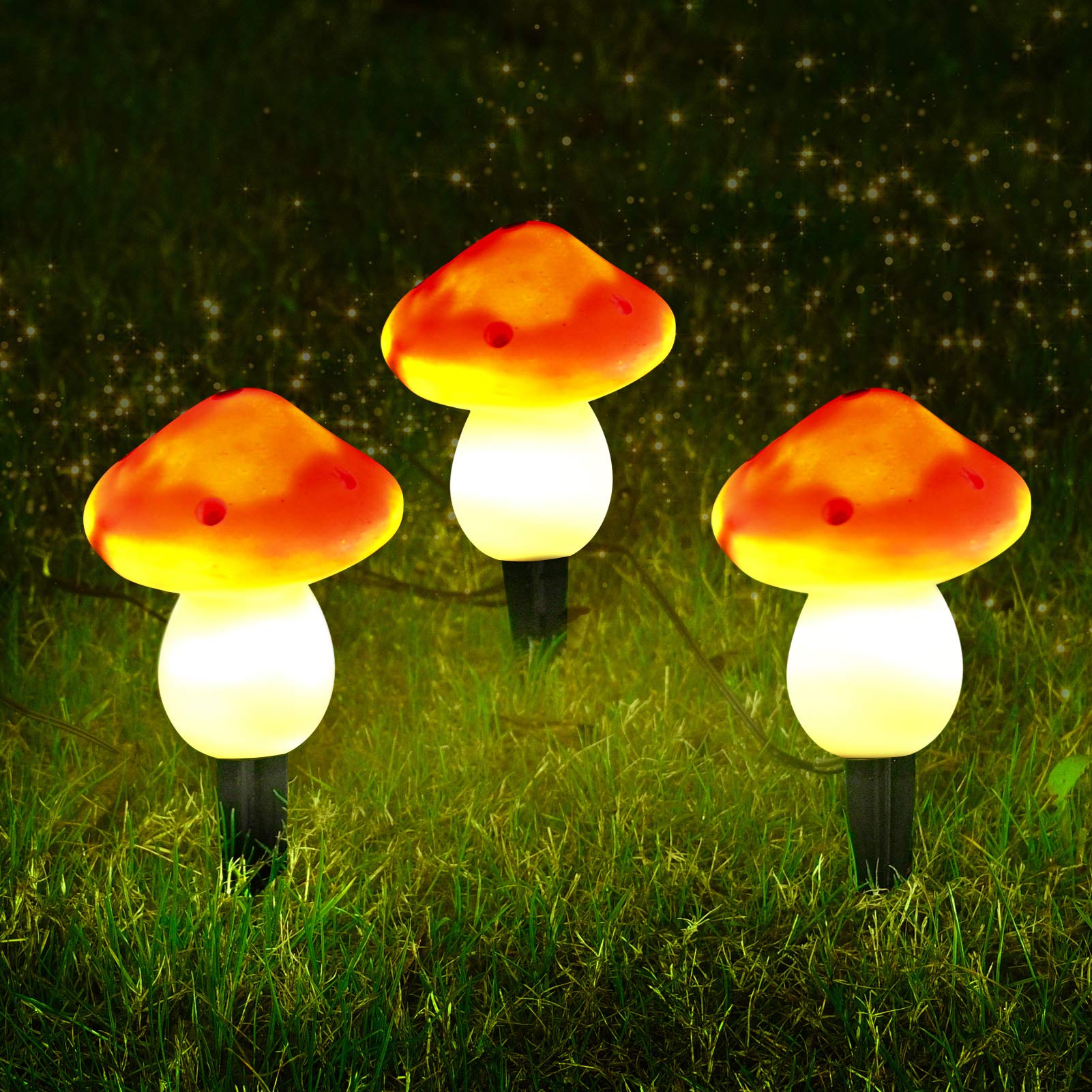 https://images-na.ssl-images-amazon.com/images/I/814FyErXp1L.jpg