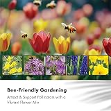 GreenBrokers 5 Month Flowering Collection Bulbs for Spring Garden view 3