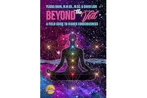 Beyond The Veil : A Field Guide to Higher Consciousness