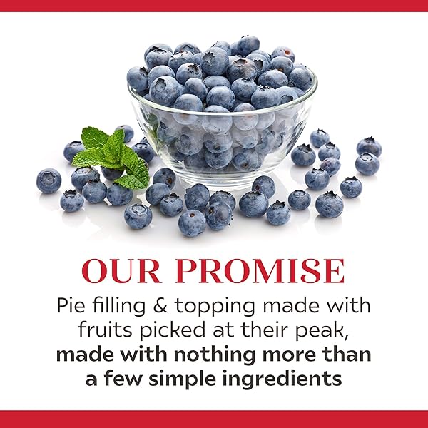 DUNCAN HINES COMSTOCK BLUEBERRY PIE FILLING AND TOPPING, 21 OZ.