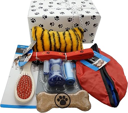 gift box for new puppy