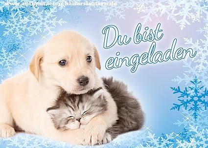 10 Biglietti D Invito Compleanno Per Bambini Cani Gatti