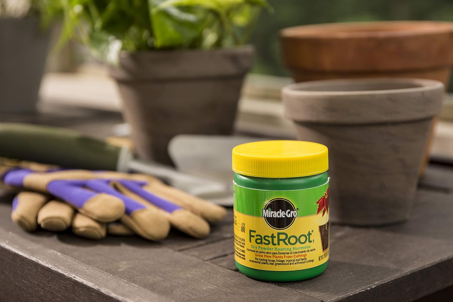 Miracle-Gro FastRoot1 Dry Powder Rooting Hormone 1.25 oz., Houseplant and Succulent Propagation, for Rooting House, Foliage, Tropical, and Hardy Ornamental Plants : Root Tone : Garden & Outdoor
