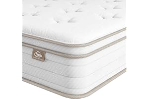 TeQsli Queen Mattress 12 Inch, Sleep Cooler Eggshell Memory Foam and 7 Zone Pocket Innerspring Hybrid Mattresses Medium Firm, Queen Bed Mattress in a Box, 100-Night Trial, 10-Year Support