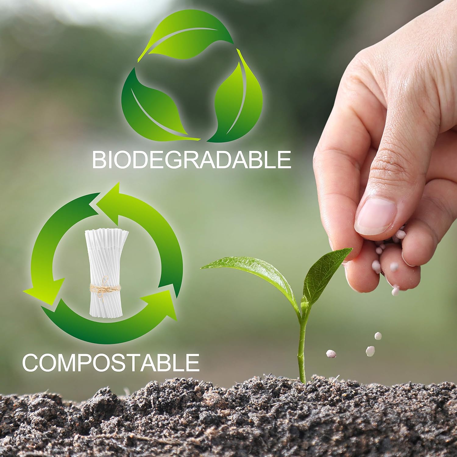 Greenchain Compostables, 250 Premium Plant Based Flexible Straws , 100% Compostable Party & Event Straws: Kitchen & Dining