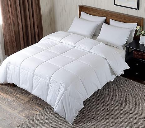 Buy Basic Beyond All Seson Warm Goose Down Comforter 650 Fill