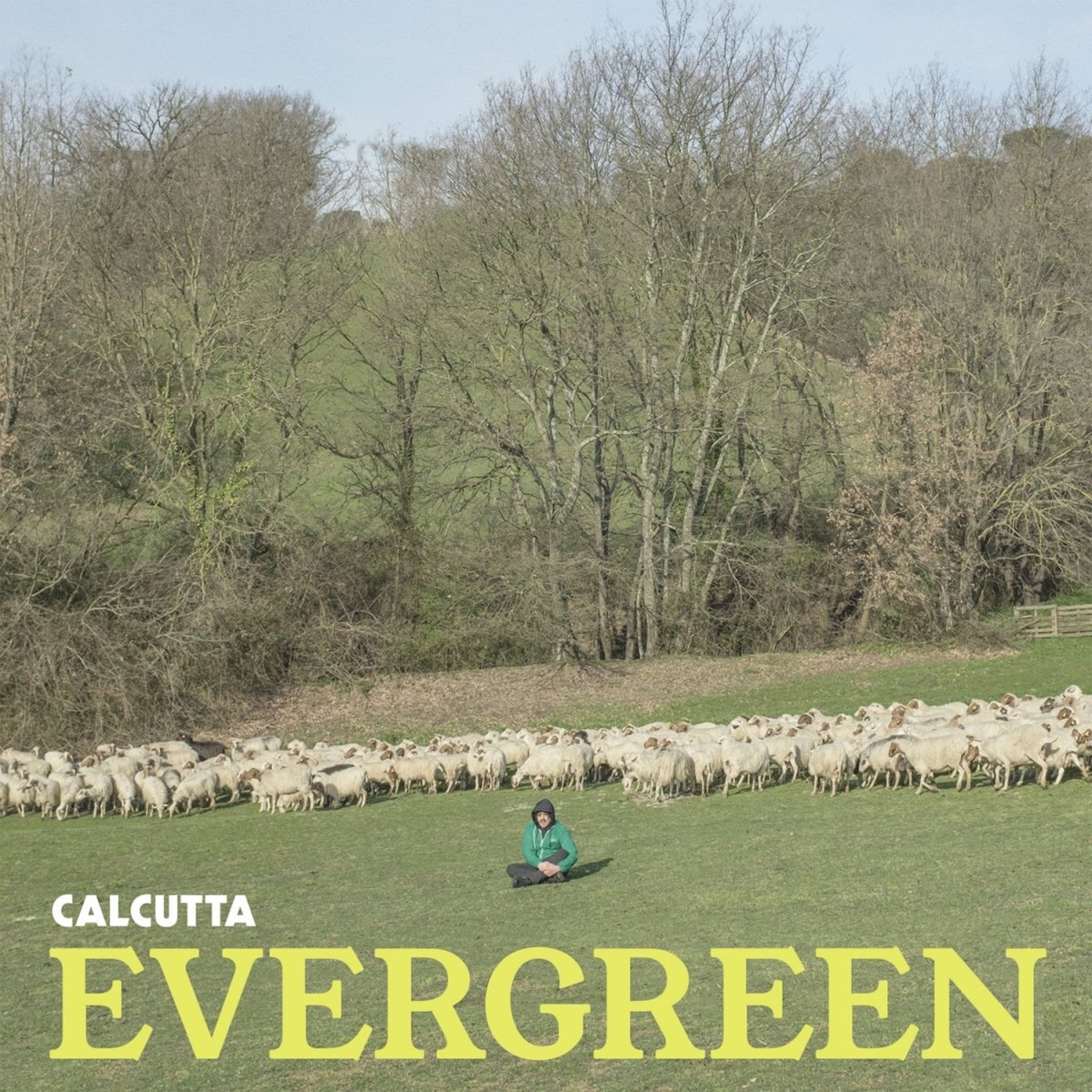Risultati immagini per evergreen calcutta