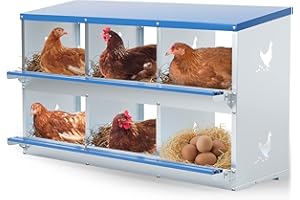 Kinchoix 6 Holes Chicken Nesting Box Laying Boxes for Chicken Hens Poultry Ducks Protect Eggs Chicken Coop Easy Egg Collection Nest Box for Chicken Coop Wall Mount