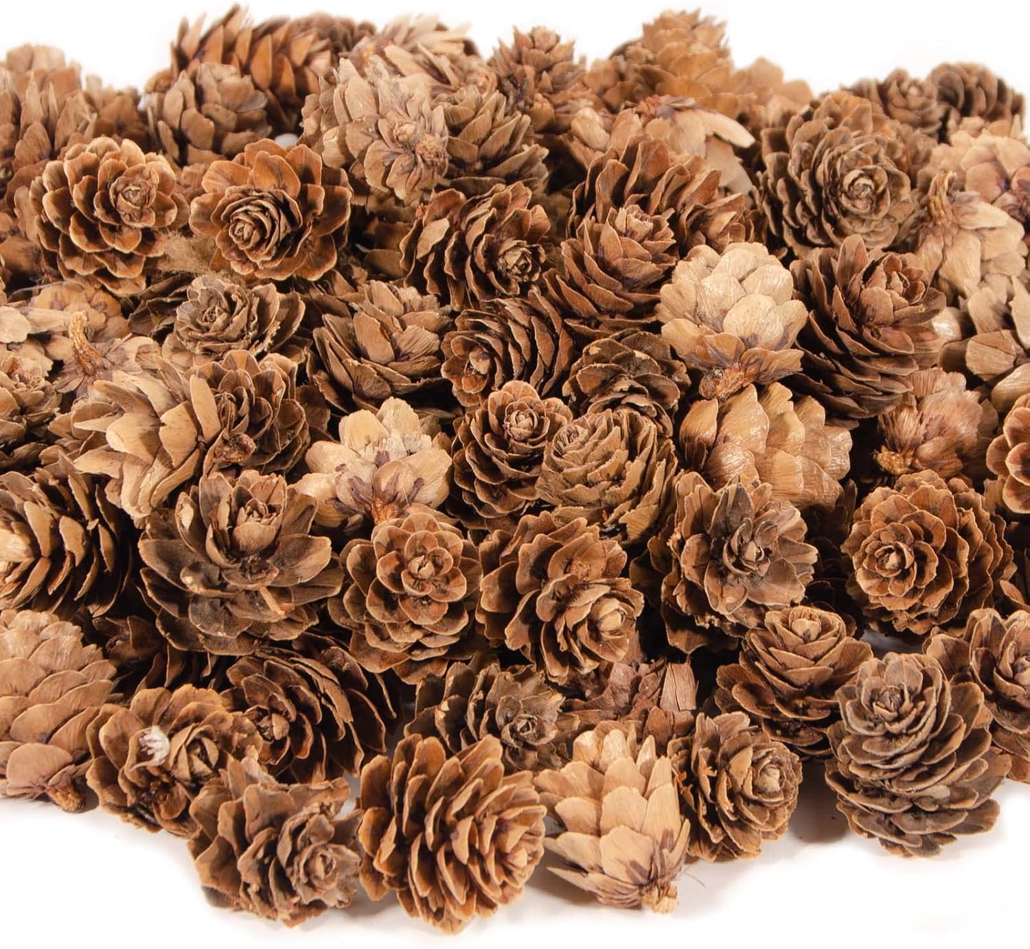 Vase Fillers - 250Pcs Natural Mini Pine Cones Bulk, Thanksgiving Rustic Pine Cone Ornaments Vase Fillers Christmas Small Tiny Pinecones for Crafts,Pine Cones Decorations for Christmas Tree