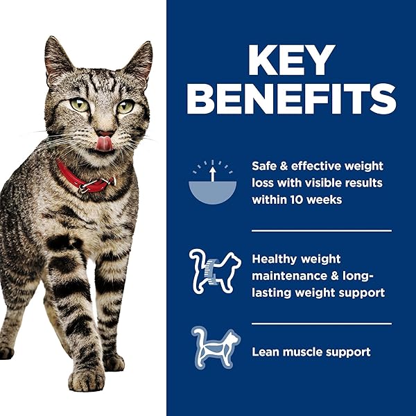 HILL’S SCIENCE DIET PERFECT WEIGHT, ADULT 1-6, WEIGHT MANAGEMENT SUPPORT, WET CAT FOOD, VARIETY PACK: LIVER & CHICKEN MINCED; CHICKEN STEW, 2.9 OZ. CANS, CASE OF 12