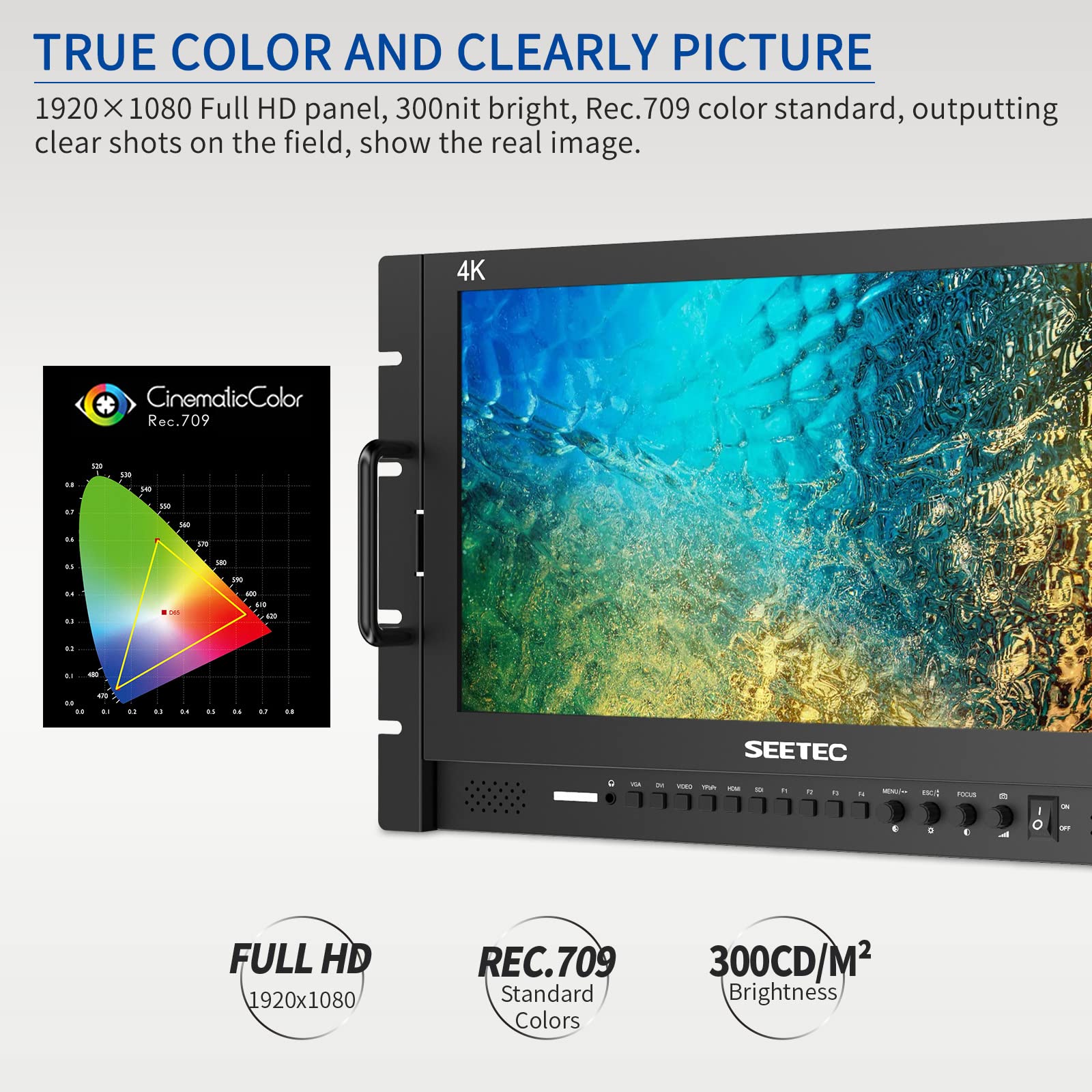 SEETEC P173-9HSD-RM 17.3
